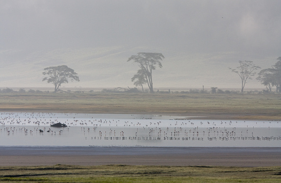 Morning mists over Lake Magadi at the bottom of Ngorongoro Crater.
